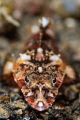judged by Tal Mor who says...
Great composition and focus point, love the shot. weekly hotshot click to zoom